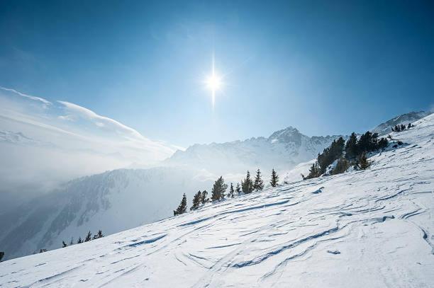 Hotel Les Alpes Allevard Dış mekan fotoğraf